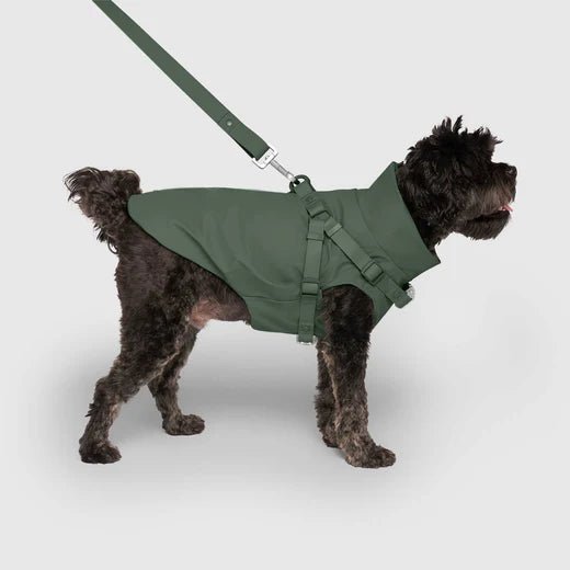 Dog Harness Raincoat - EachPaw