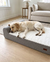Lifestyle illustration of a Labrador resting on a Large EachPaw bed.