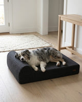 Illustration of an Australian Shepherd on a bed with the charcoal cover.
