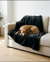 Illustration of a dog resting on a charcoal blanket on a sofa.