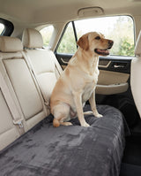 Illustration of a Labrador on a charcoal blanket across a car seat.