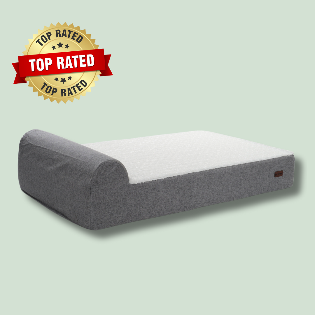 CloudLuxe Dog Bed